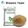 China Suppliers Brewers Yeast For Animal Feed